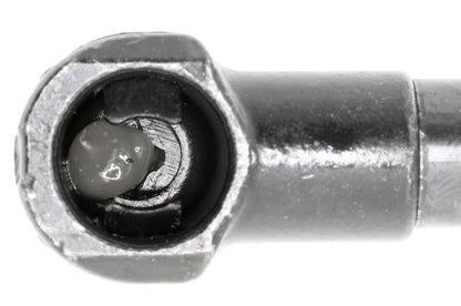 Vaico Hood Lift Support