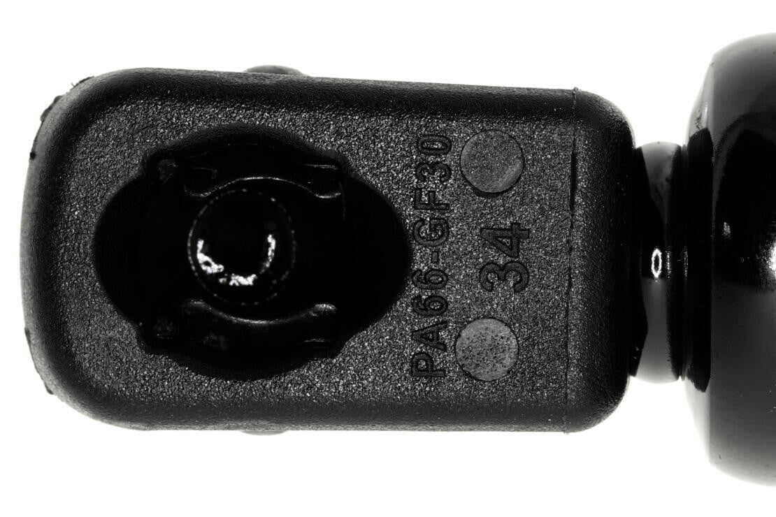 Vaico Hood Lift Support