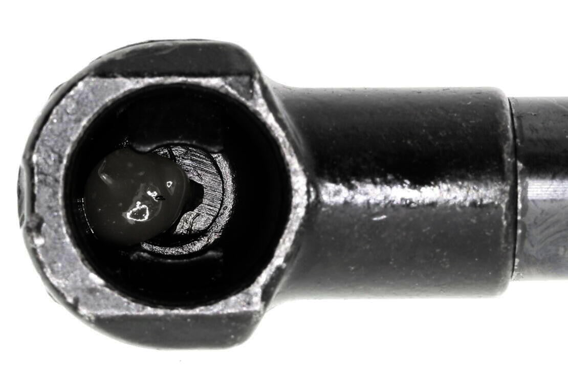 Vaico Hood Lift Support