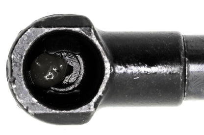 Vaico Hood Lift Support