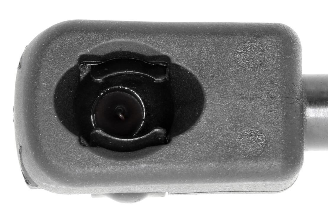 VAICO Hood Lift Support V30-2057