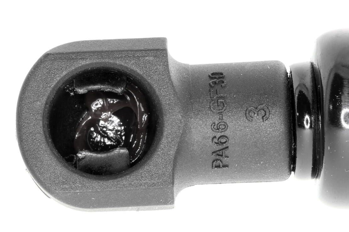 Vaico Trunk Lid Lift Support