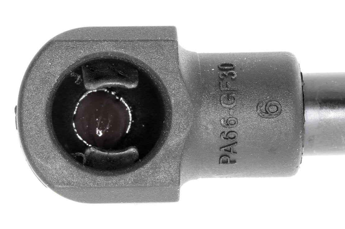 Vaico Trunk Lid Lift Support