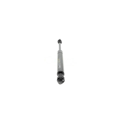 Vaico Trunk Lid Lift Support