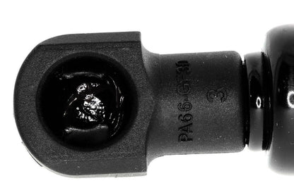 Vaico Trunk Lid Lift Support