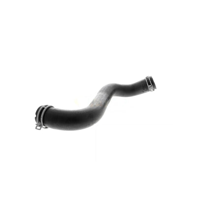 VAICO Coolant Hose V30-4231