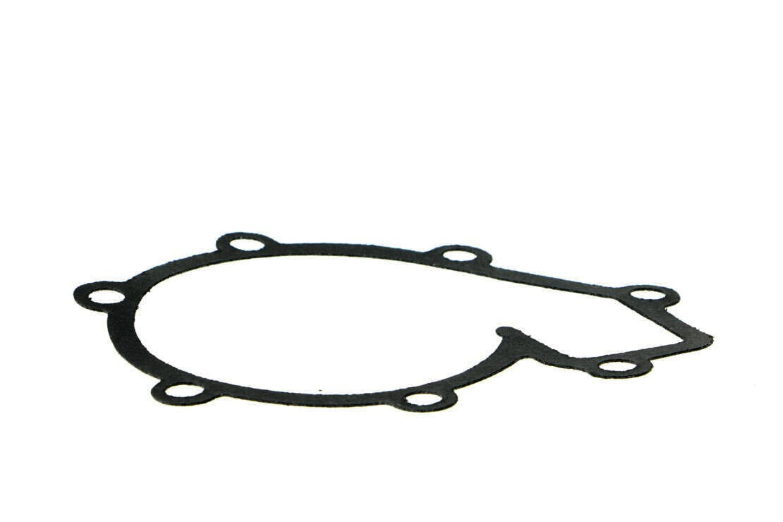 VAICO Engine Water Pump V30-50036