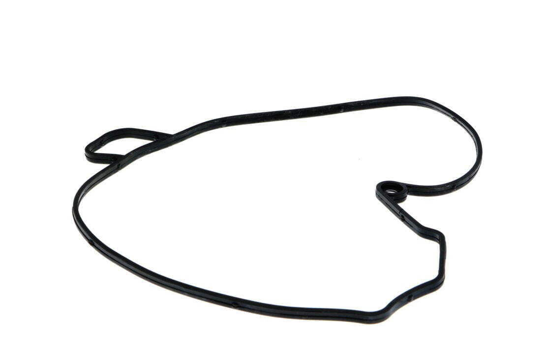 VAICO Engine Water Pump V30-50071