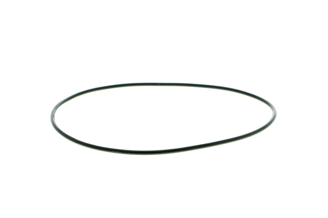 VAICO Engine Water Pump V30-50077