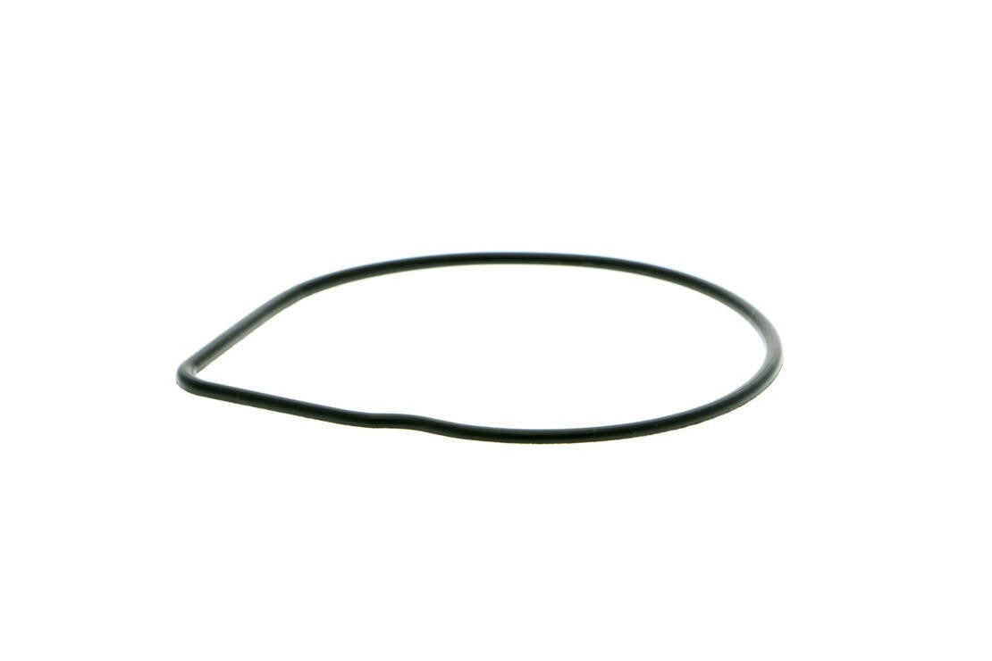 VAICO Engine Water Pump V40-50038