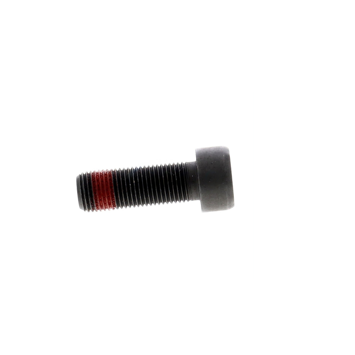 VAICO Clutch Flywheel Bolt V45-0204