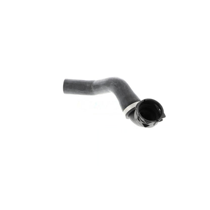 VAICO Radiator Coolant Hose V48-0143
