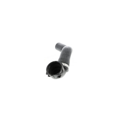 VAICO Radiator Coolant Hose V48-0143