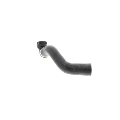 VAICO Radiator Coolant Hose V48-0143