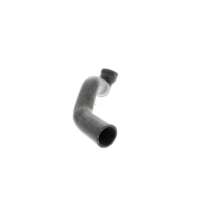 VAICO Radiator Coolant Hose V48-0143