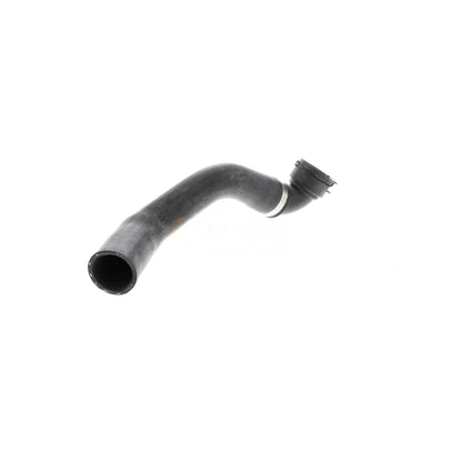 VAICO Radiator Coolant Hose V48-0143