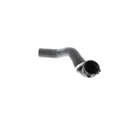 VAICO Radiator Coolant Hose V48-0143