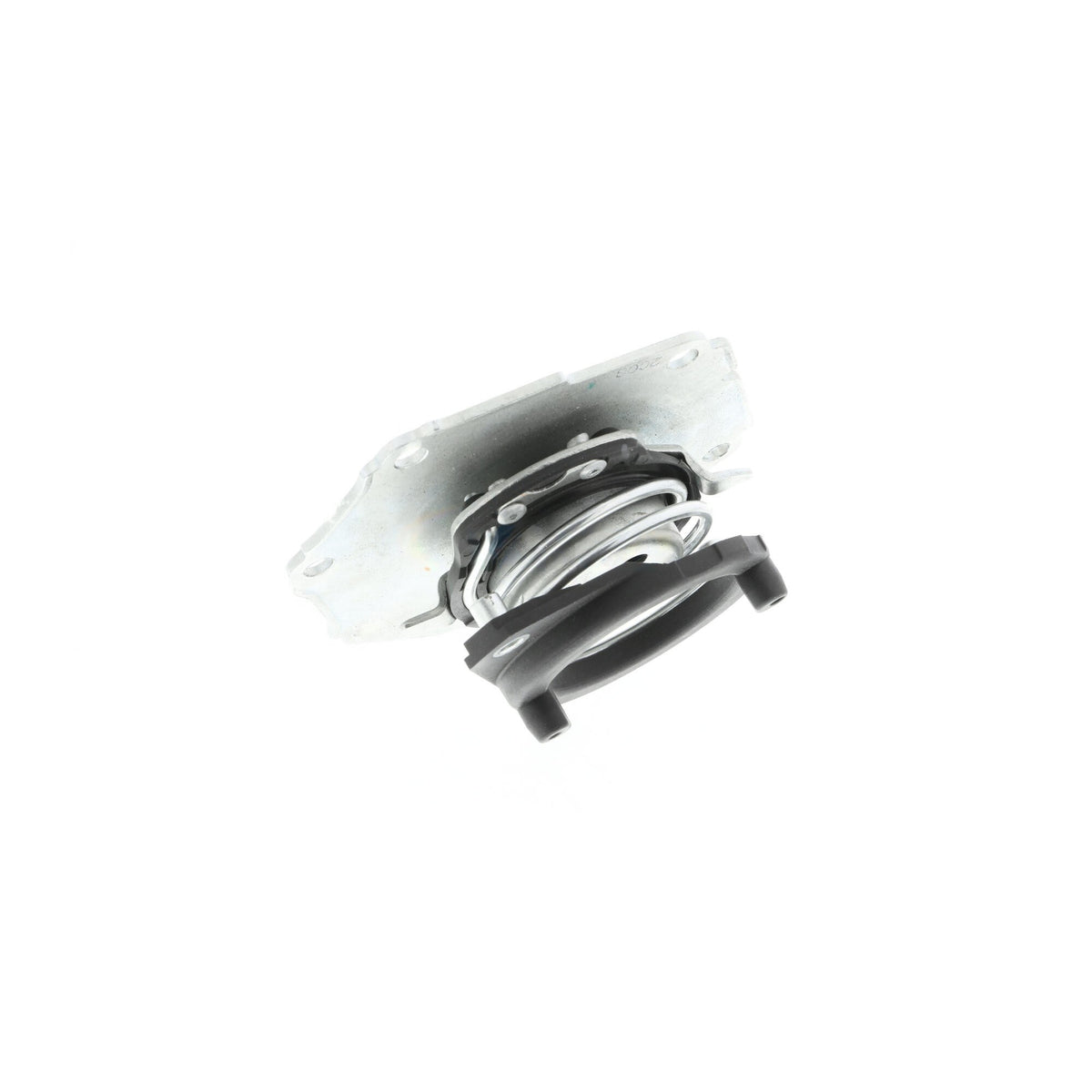 VAICO Engine Water Pump V48-50004
