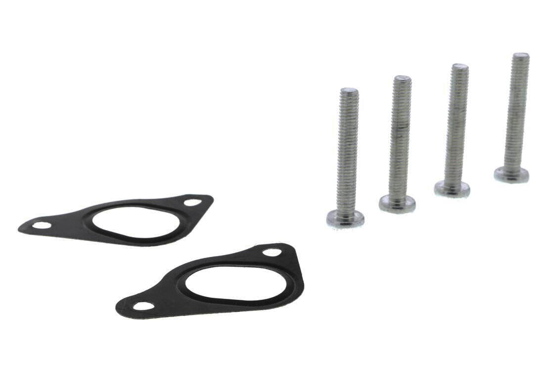 VAICO Engine Water Pump V48-50022