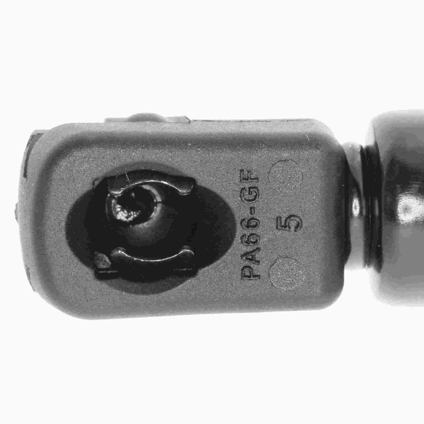 VAICO Tailgate Lift Support V50-0039