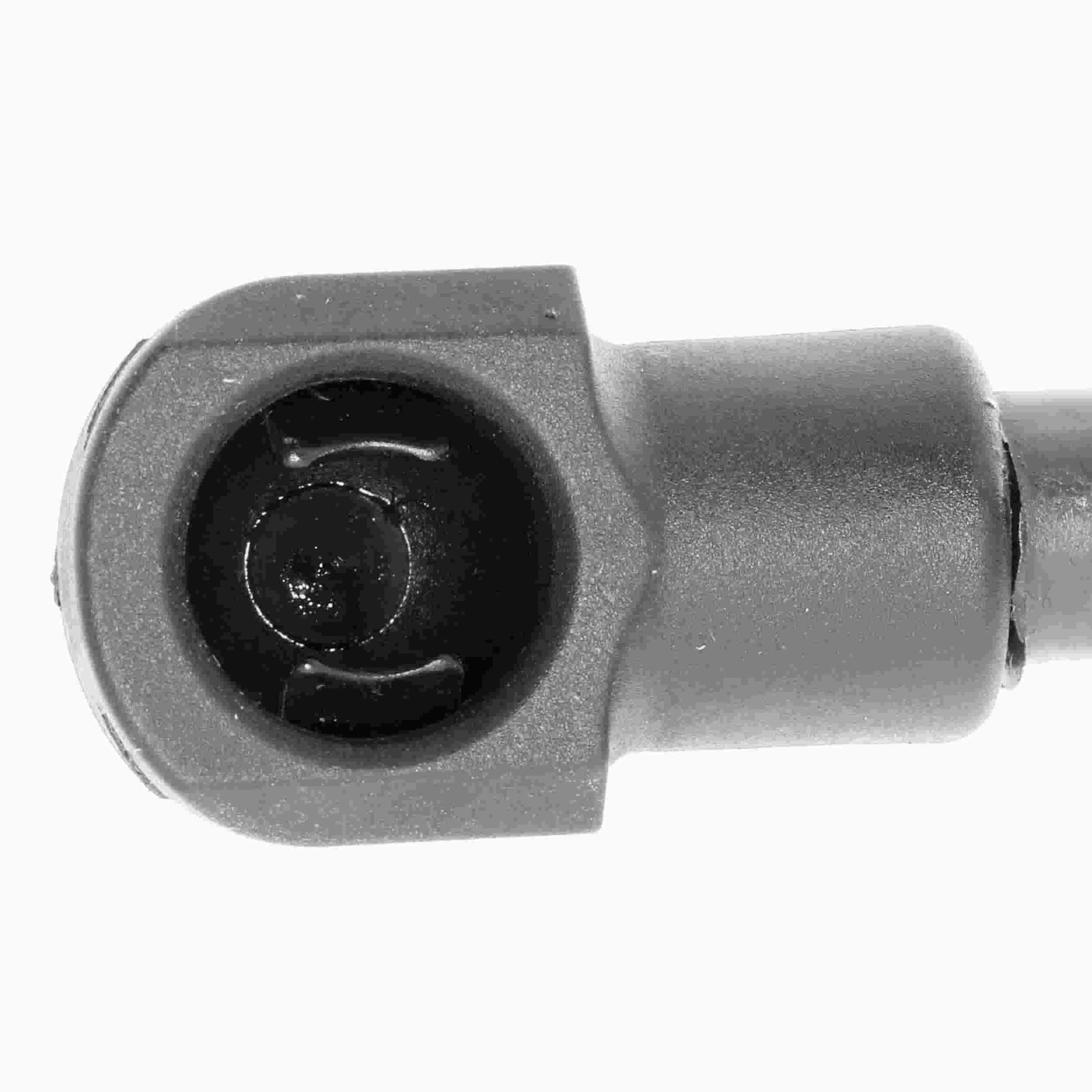 VAICO Tailgate Lift Support V95-0134