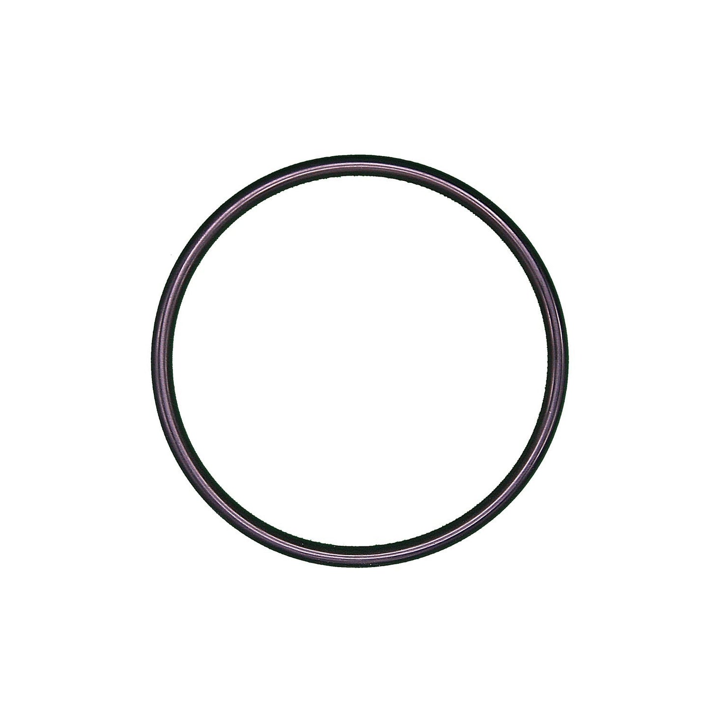 CALORSTAT by Vernet Engine Coolant Thermostat Seal J02