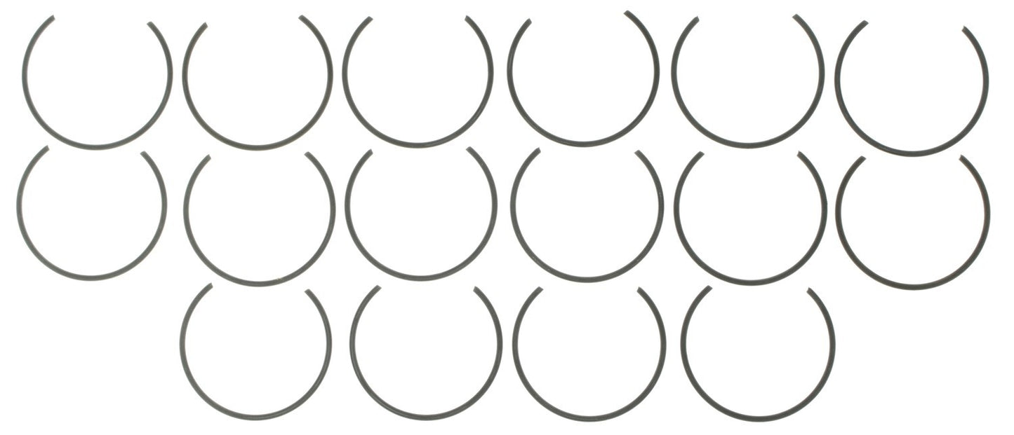 Mahle 224-3891-0.25MM