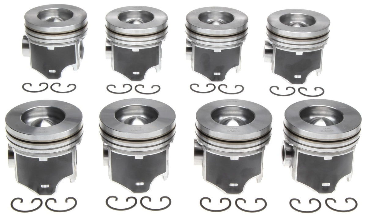 Mahle Engine Piston Set 224-3902.030