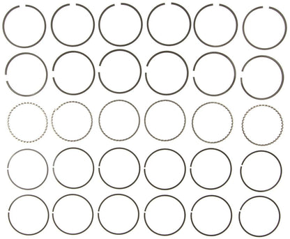 Mahle Rings Buick 231 3.8L Eng 75-84 Chevy 231 3.8L Eng 78-84 Chevy Trk 231 Moly Ring Set 41106CP