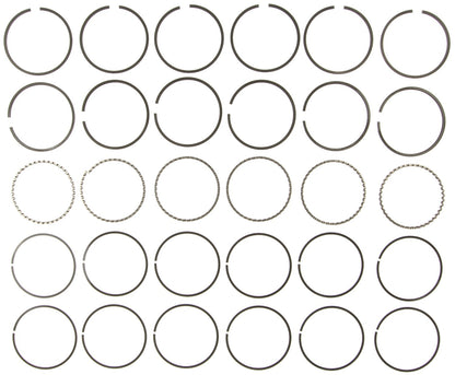 Mahle Rings Buick 231 3.8L Eng 75-84 Chevy 231 3.8L Eng 78-84 Chevy Trk 231 Moly Ring Set 41106CP