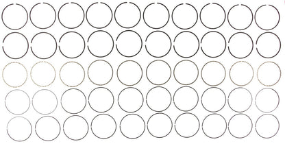 Mahle Rings Dodge Trk 8.0L V-10 Eng 1994-2002 VIN Code W Moly Ring Set 41863CP