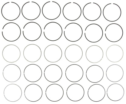 Mahle Rings GMC Pass 3.1L 6 Cyl Eng 1996-2002 VIN Code M & J Moly Ring Set 41865CP
