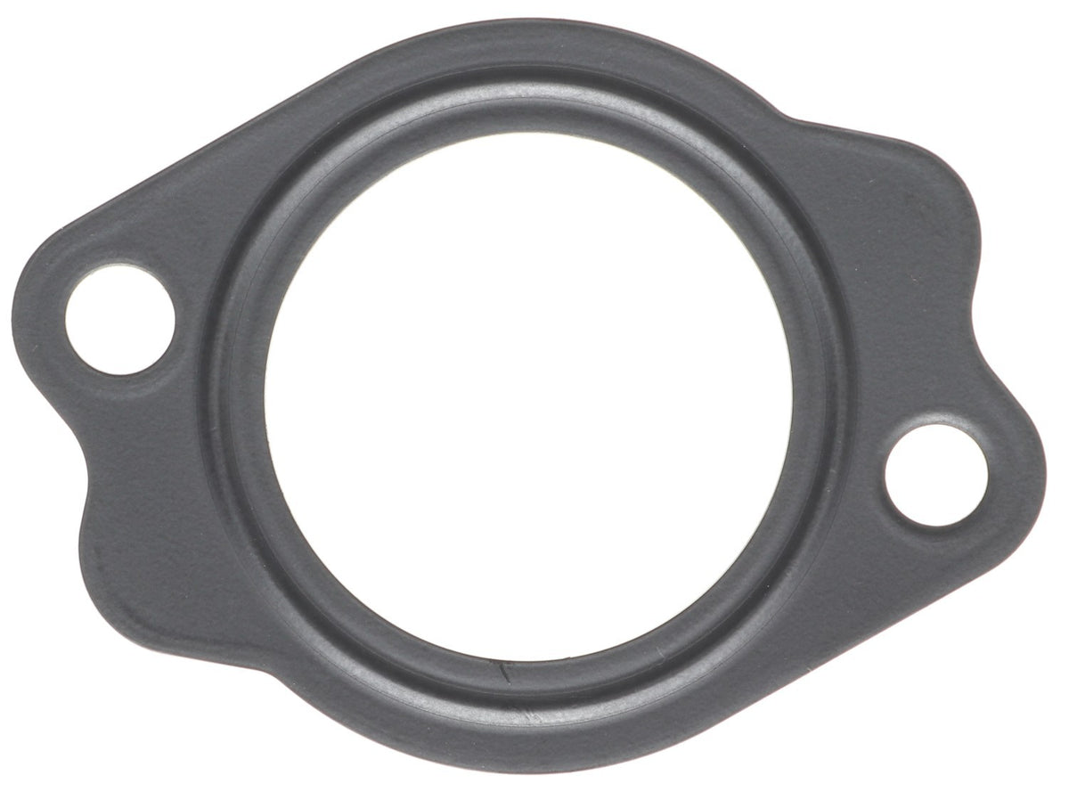 Mahle C33557