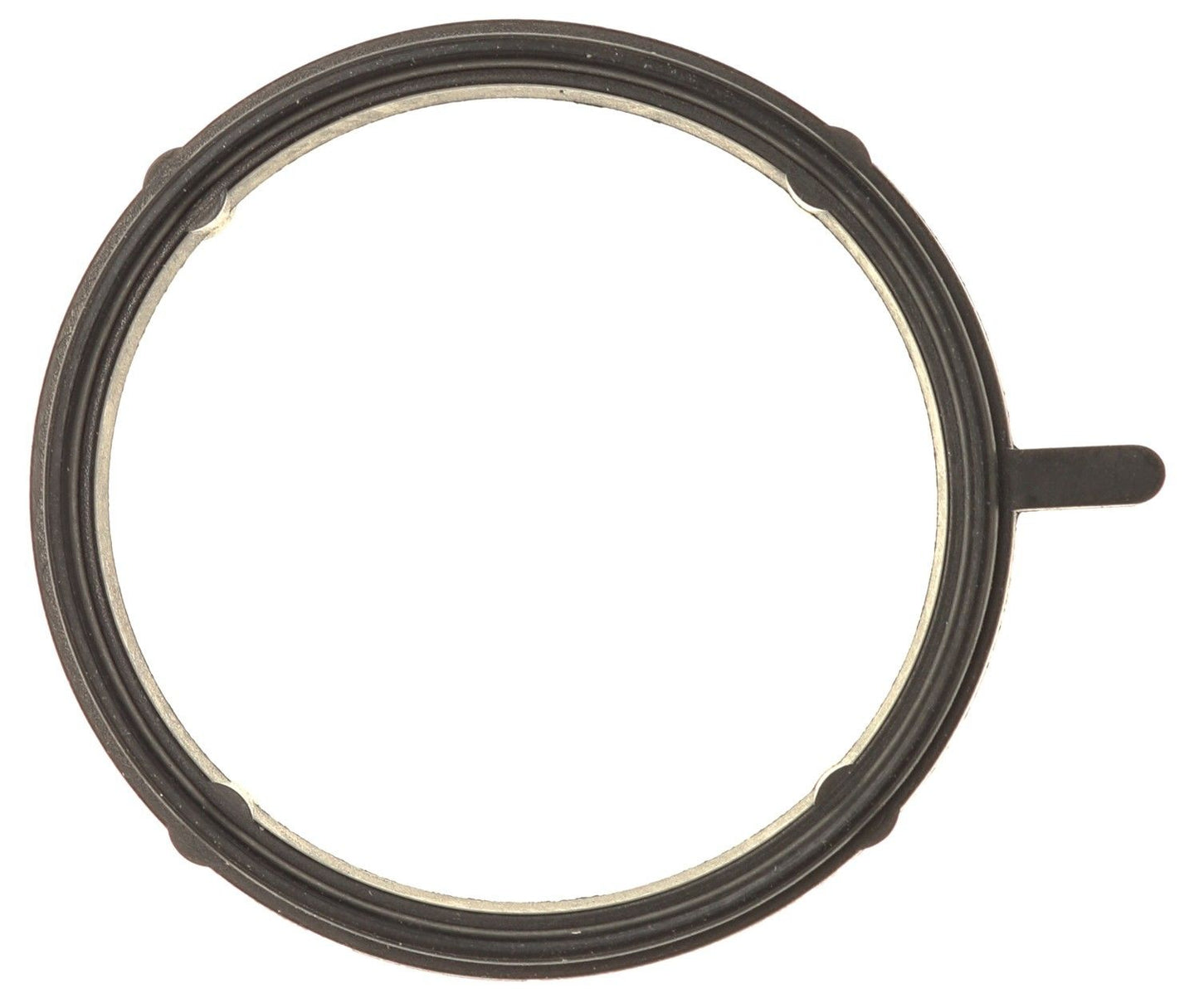 Mahle C33610