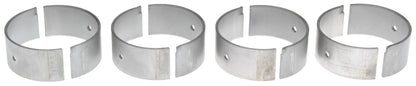Mahle CB1353P(4)