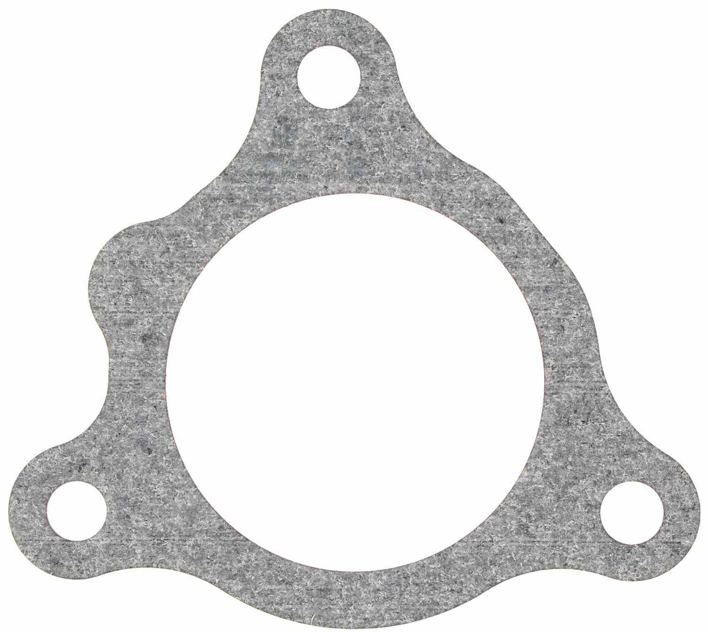 Mahle F33419