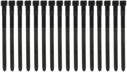 MAHLE Engine Cylinder Head Bolt Set GS33455
