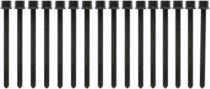 MAHLE Engine Cylinder Head Bolt Set GS33457