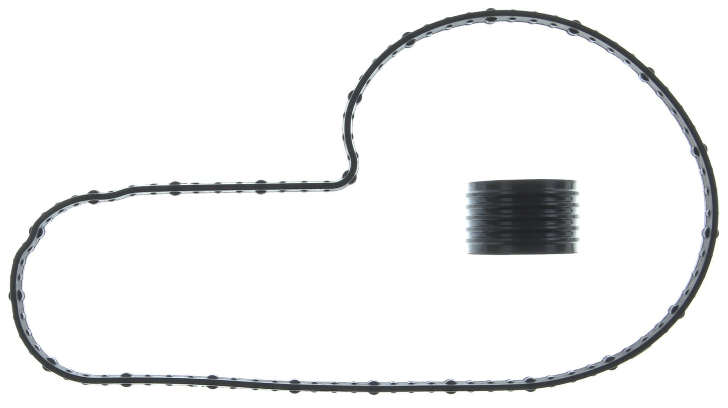 Mahle Engine Water Pump Mounting Gasket GS33873 main image