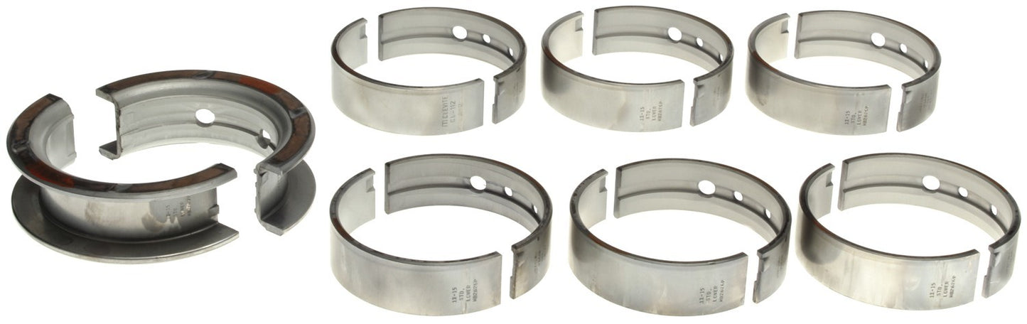 Mahle MS-1342P