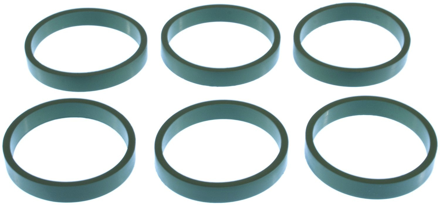 MAHLE Fuel Injection Plenum Gasket MS19844