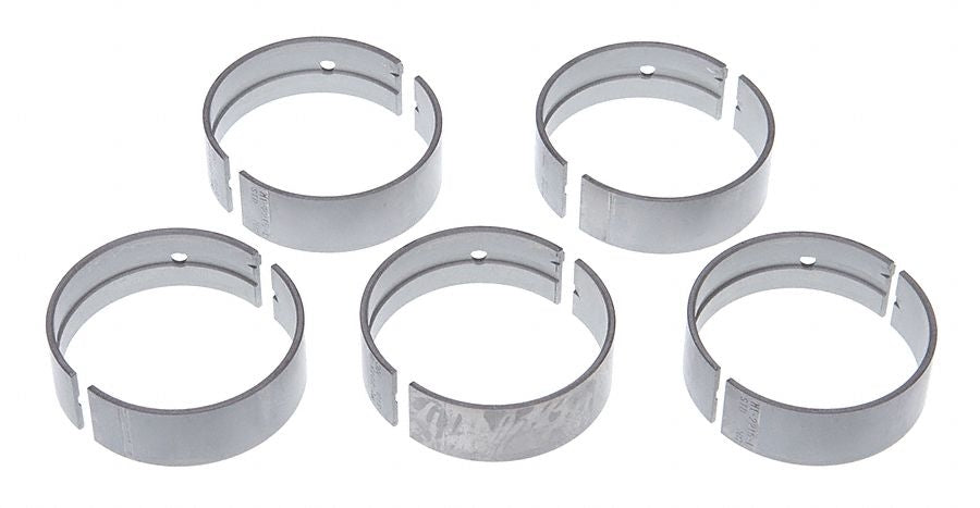 Mahle MS2095P