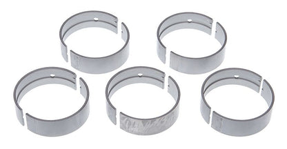Mahle MS2095P