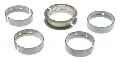Mahle MS2199P10