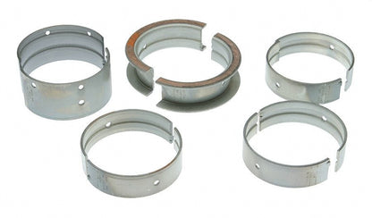 Mahle MS496P10