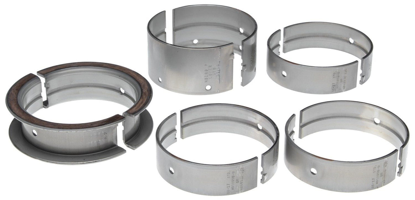 Mahle MS496P10