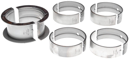 Mahle MS829P1