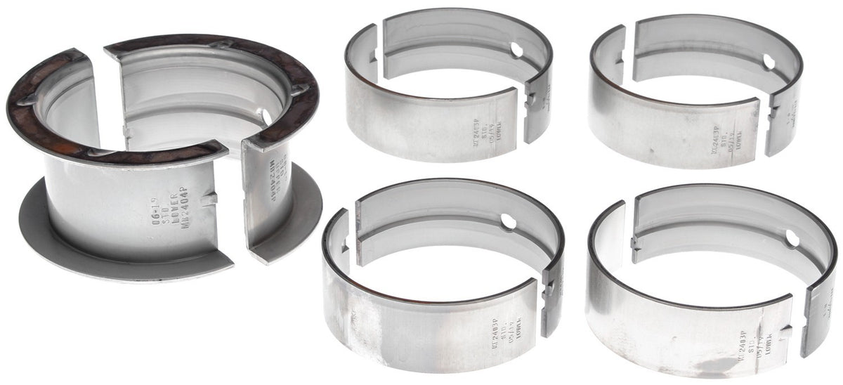 Mahle MS829P1