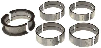 Mahle MS876P10