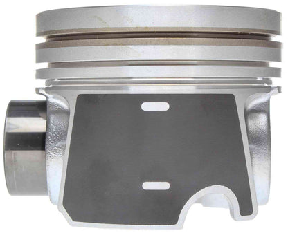 Mahle S224-3666